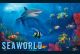 SeaWorld