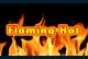 Flaming Hot